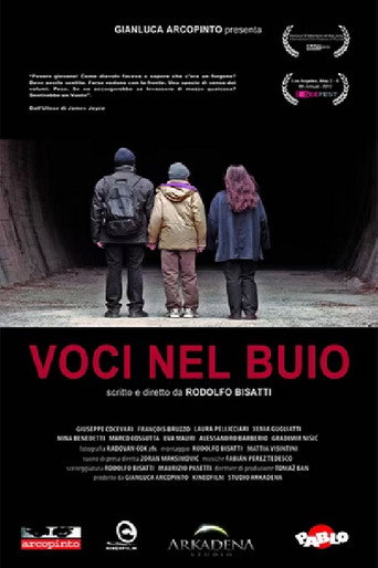 Voices in the Dark movie poster