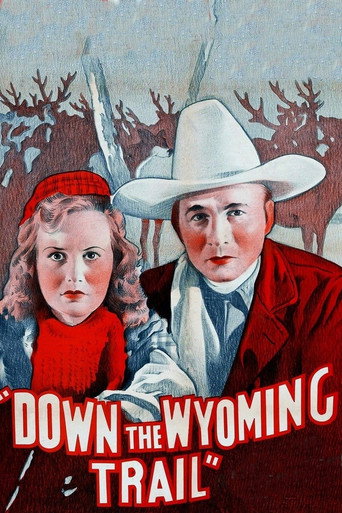 Down the Wyoming Trail movie poster