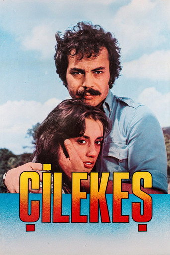 Çilekeş movie poster