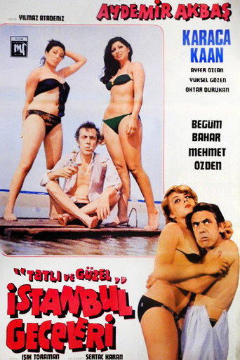 Tatlı ve Güzel İstanbul Geceleri movie poster