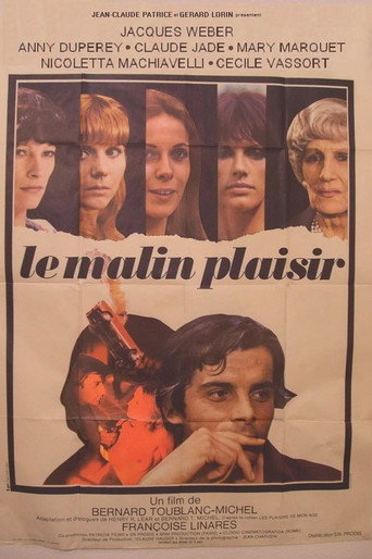 Evil Pleasure movie poster