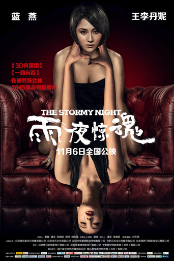 The Stormy Night movie poster