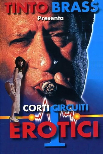 Erotic Short Circuits Vol. 1 movie poster