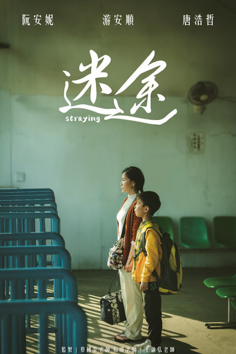 Straying movie poster