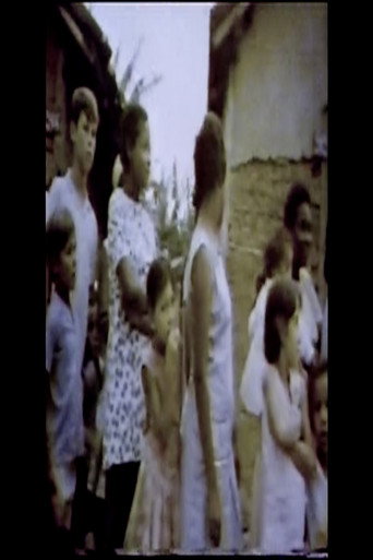 O Mastro do Bino Santo movie poster
