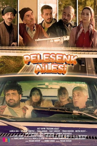Pelesenk Ailesi movie poster