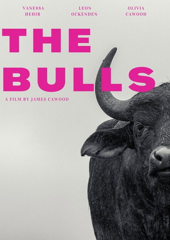 The Bulls movie poster