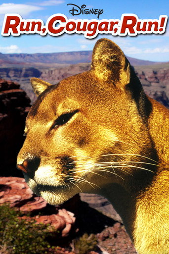 Run, Cougar, Run movie poster