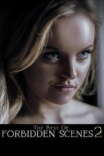 The Best of Forbidden Scenes 2 movie poster