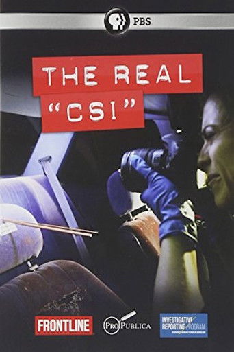 The Real CSI movie poster