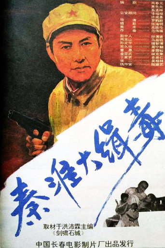 Seize Drg Smugglers in Qin Huai movie poster