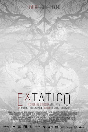 Extático movie poster
