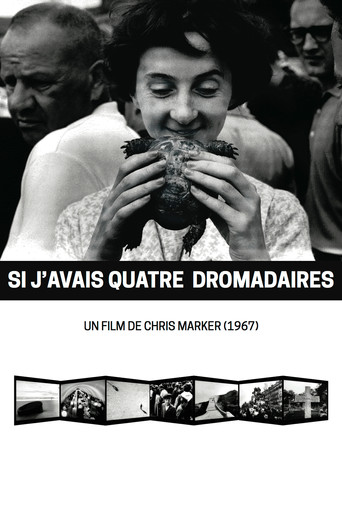If I Had Four Dromedaries movie poster
