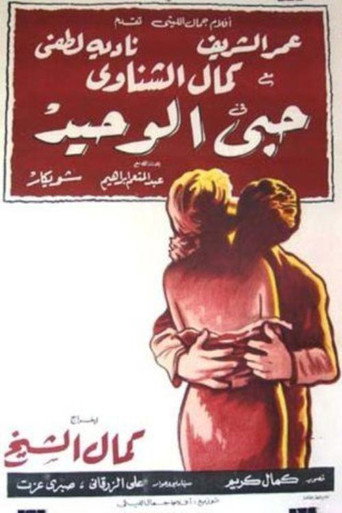 My Only Love movie poster