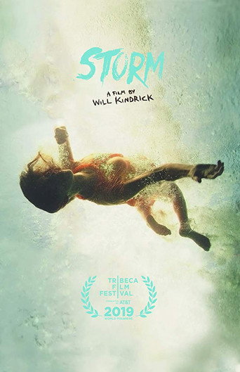 Storm movie poster