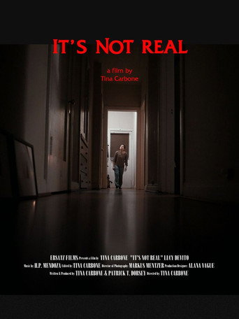 It's Not Real movie poster