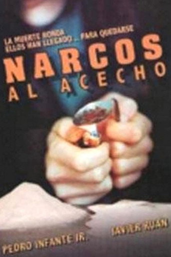 Narcos al acecho movie poster