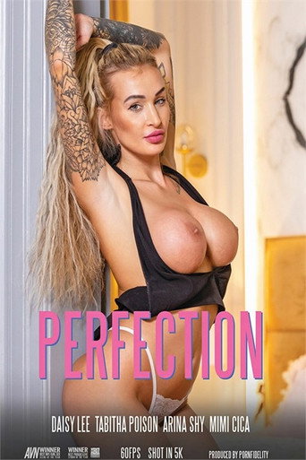 Perfection movie poster