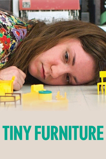 Tiny Furniture movie poster