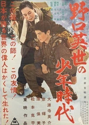 The Boyhood of Dr. Noguchi movie poster