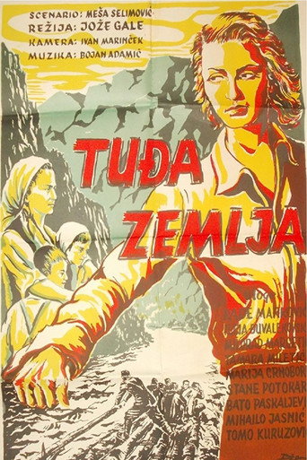 On Foreign Soil movie poster