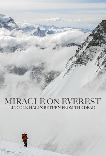 Miracle on Everest movie poster