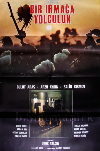 Bir Irmağa Yolculuk movie poster
