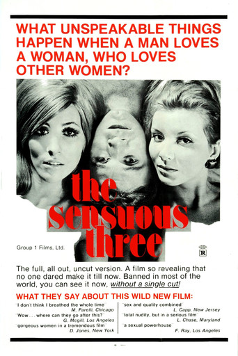 The Sensuous Three movie poster