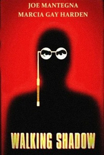 Walking Shadow movie poster