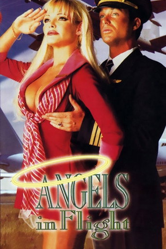 Angels in Flight movie poster