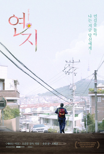 Late Bloomer movie poster