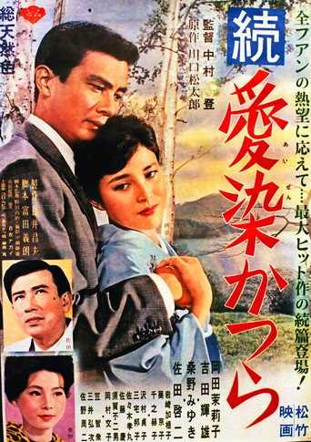 Zoku aizen katsura movie poster