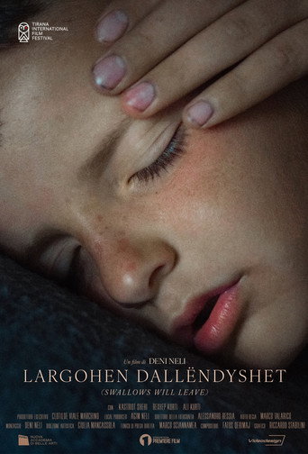 Largohen Dallëndyshet movie poster