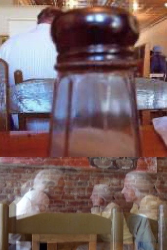 THE SALT SHAKER AND THE MOON movie poster