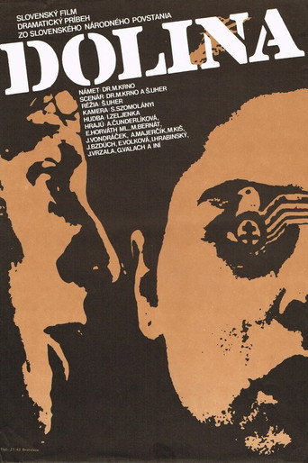 Dolina movie poster