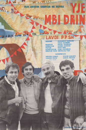 Stars Over the River Drin movie poster