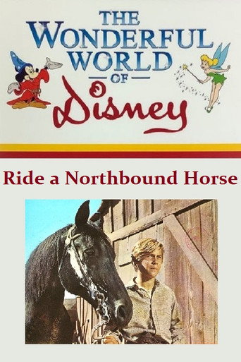 Ride a Northbound Horse movie poster