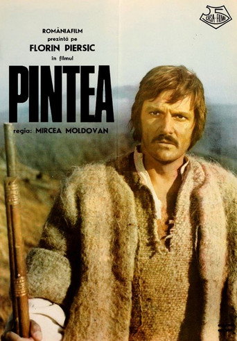 Pintea movie poster
