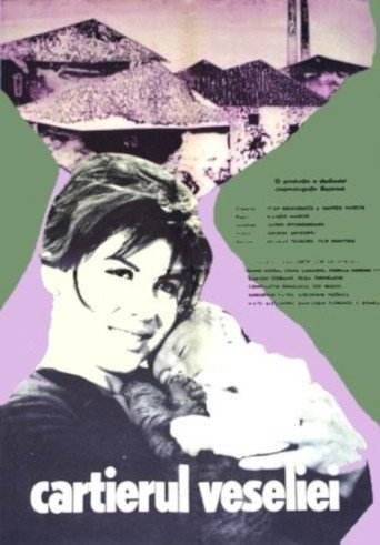 Merriment Ward movie poster