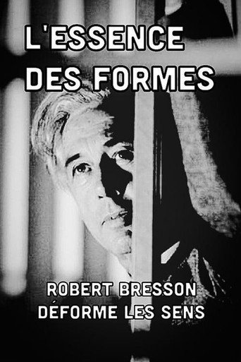 The Essence of Forms movie poster