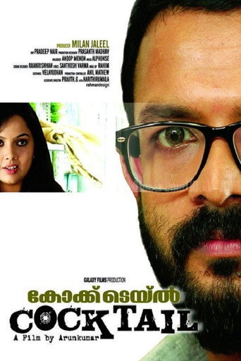 Cocktail movie poster