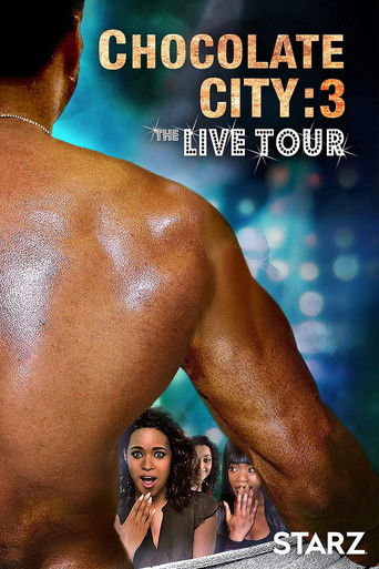Chocolate City 3: Live Tour movie poster
