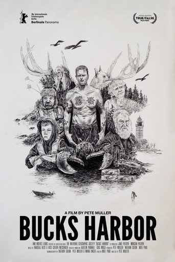 Bucks Harbor movie poster