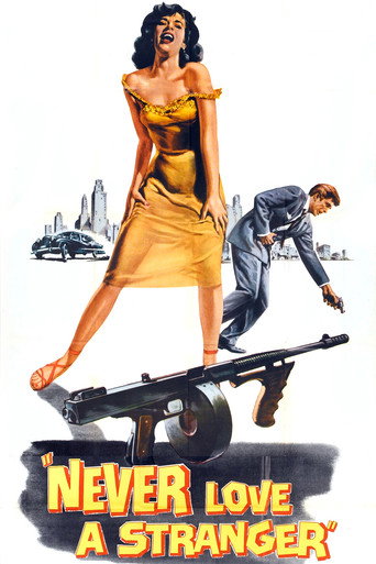 Never Love a Stranger movie poster