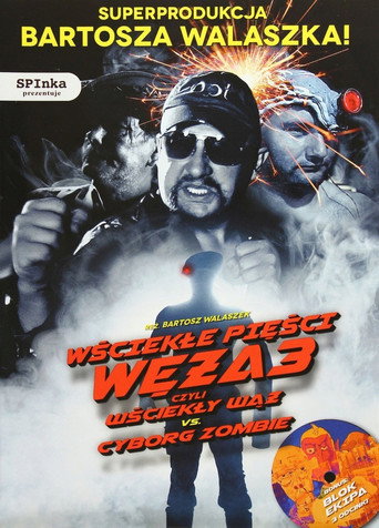 Fists of Angry Snake 3 movie poster