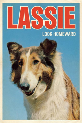 Look Homeward movie poster