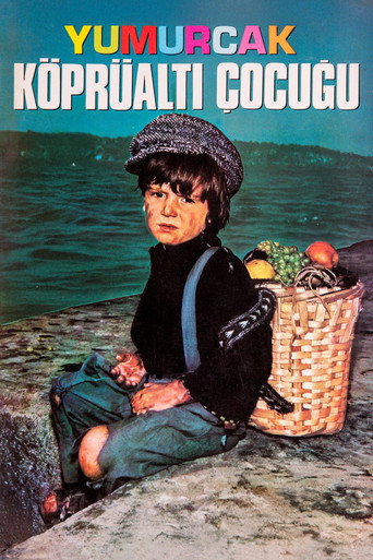 Yumurcak Köprüaltı Çocuğu movie poster