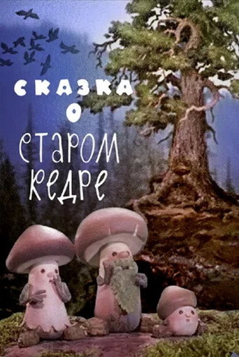 The Tale of the Old Cedar movie poster