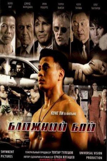 The Ultimate Fighter movie poster
