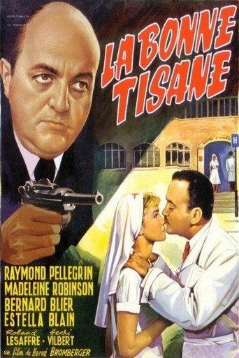 Secrets of a French Nurse movie poster